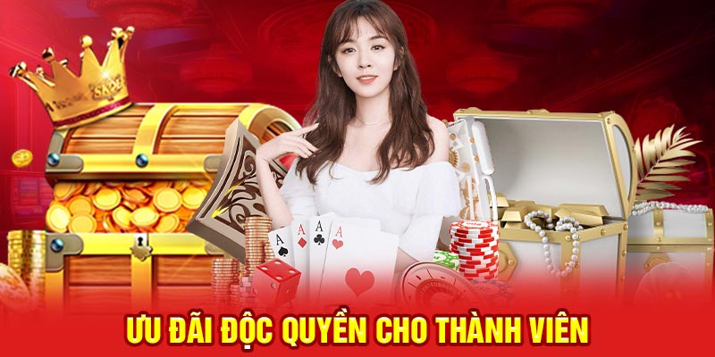 Khuyến mãi độc quyền cho thành viên ABC8